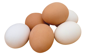 egg_png25